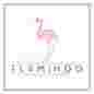 Flamingo Capital Partners logo